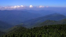 Sugar Hollow