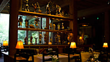 Tree Room