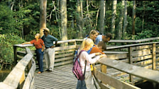 First Landing State Park