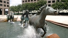 Mustangs of Las Colinas