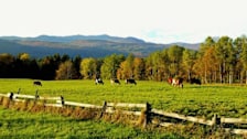 Scenic Montpelier