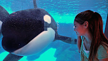 SeaWorld San Diego