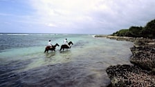 Horseback Riding