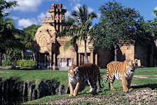 Metro Zoo