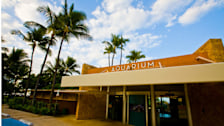 Waikiki Aquarium