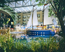 Gaylord Palms
