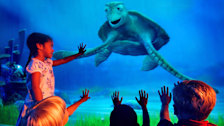 Turtle Talk with Crush