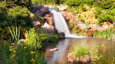 Red Butte Garden