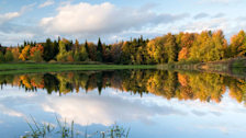Autumn in Montpelier