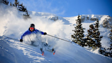 Skier