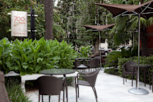 Casimir's Lounge