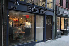 Blue Tree