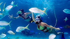 Snorkeling at Xel-Ha