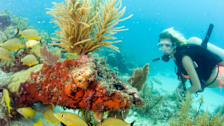 National Marine Sanctuary