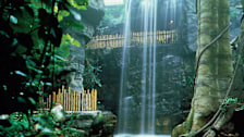 Henry Doorly Zoo