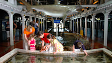 Key West Aquarium