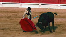 Bullfighting