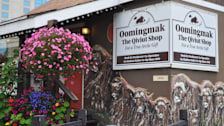 Oomingmak