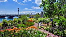 Detroit River