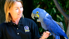 Denver Zoo