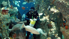 South Carolina Aquarium