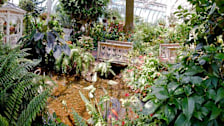 Butterfly and Nature Conservatory