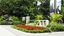 Wayfinding Signs