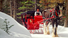 Sleigh Ride