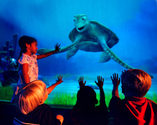 Turtle Talk with Crush