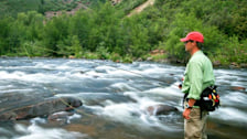 Fly Fishing on Gore Creek: Gore Creek Fly Fisherman