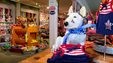 Diggidy Dog