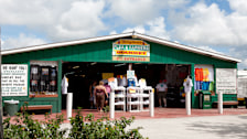 Daytona Flea & Farmers Market