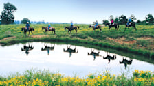Horseback Riding