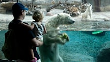 San Diego Zoo