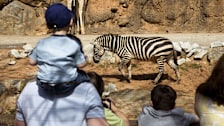 Zoo Atlanta