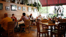 Tommy's