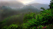 Kingston Mountains
