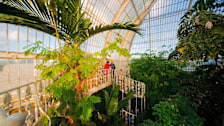 Kew Gardens