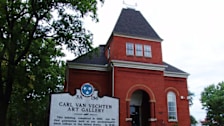 Carl Van Vechten Gallery