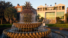 Pineapple Fountain