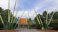 Concord Mills