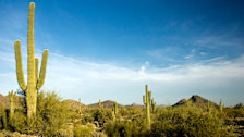 McDowell Mountain Regional Park