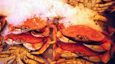 Seafood for Sale