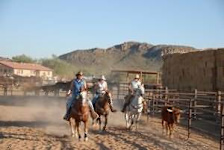 White Stallion Ranch