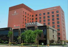 Danube International Hotel - Qingdao, China - 