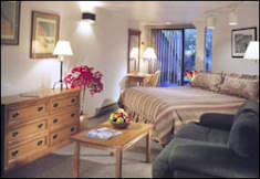 The Aspen Mountain Lodge - Aspen, Colorado - 
