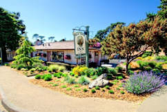 Deer Haven Inn - Pacific Grove, California - 