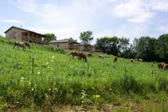 Kickapoo Valley Ranch - La Farge, Wisconsin - 