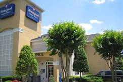 Homestead Studio Suites Hotel - North Druid Hills, Georgia - 