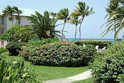 Colony Cove Beach Resort - Christiansted, US Virgin Islands - 